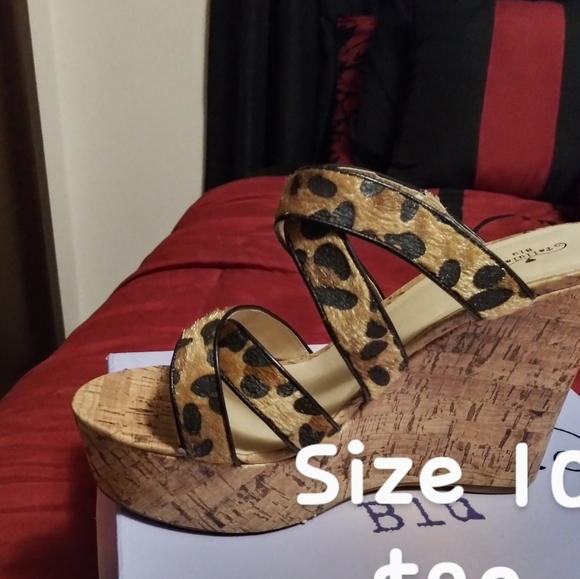 Wedges - Picture 2 of 2